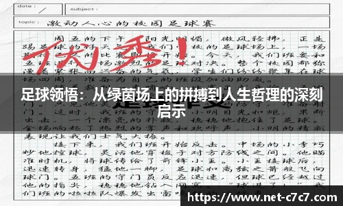足球领悟:从绿茵场上的拼搏到人生哲理的深刻启示